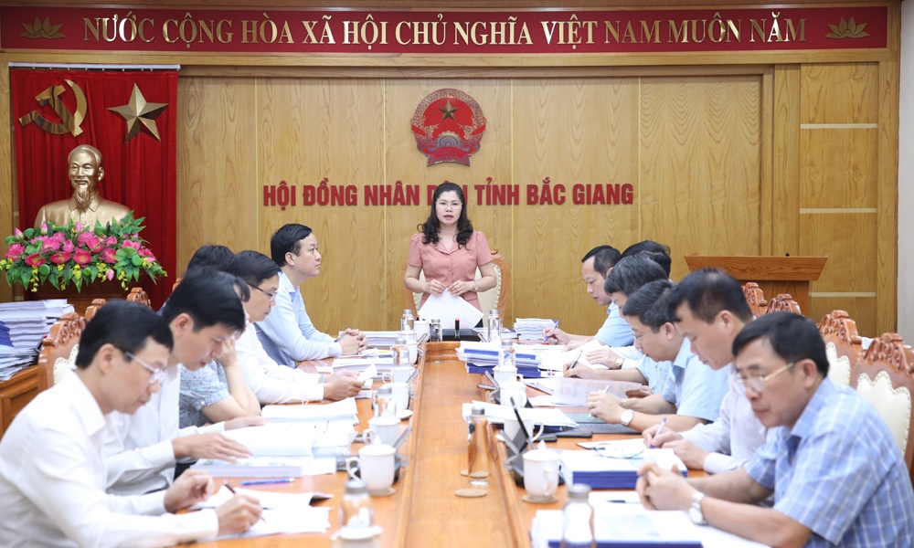 Đảng đoàn HĐND tỉnh thẩm tra, thẩm định một số dự thảo nghị quyết
